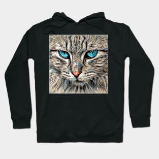 The Cat's eyes Hoodie